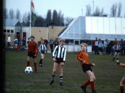 0DIA 1985 RAVA PUPS 1
